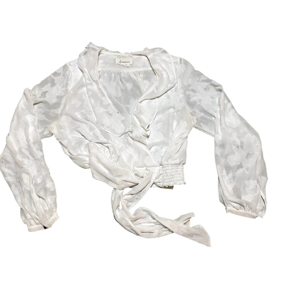 Anthropologie Milena Burnout Blouse - Picture 4 of 6